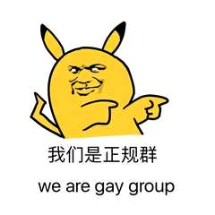 我们是正规群，we are gay group