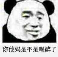 你他妈是不是喝醉了