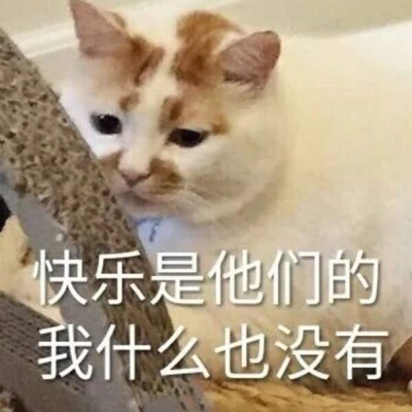 快乐是他们的，我什么也没有