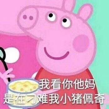 我看你他妈是刁难我小猪佩奇