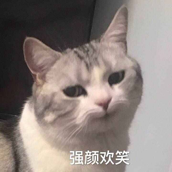 强颜欢笑