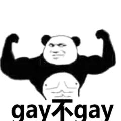 gay不gay？