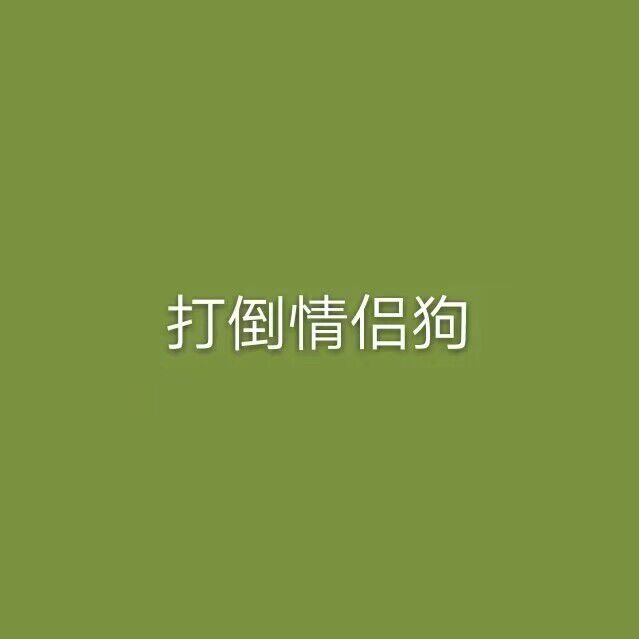 打倒情侣狗