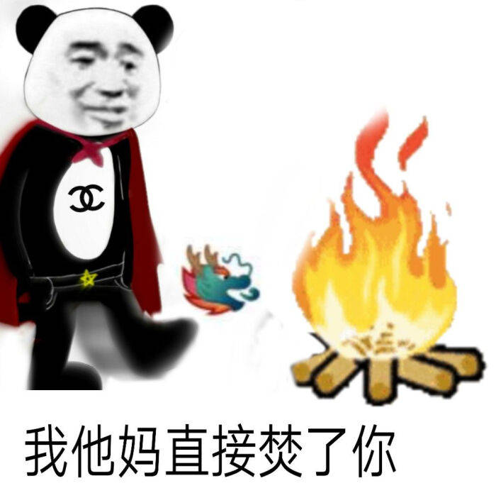 我他妈直接焚了你