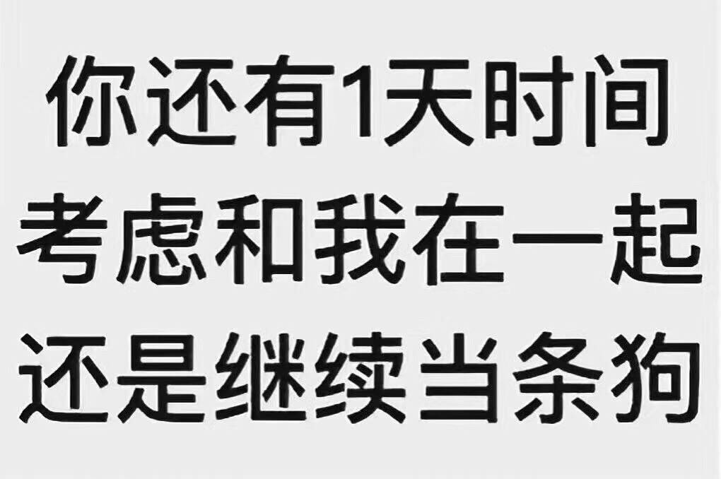 你还有1天时间考虑和我在一起还是继续当条狗