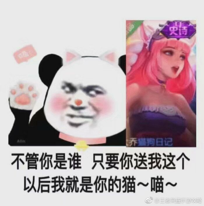 不管你是谁，只要你送我这个以后我就是你的猫~喵~