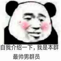 自我介绍一下，我是本群最帅男群员