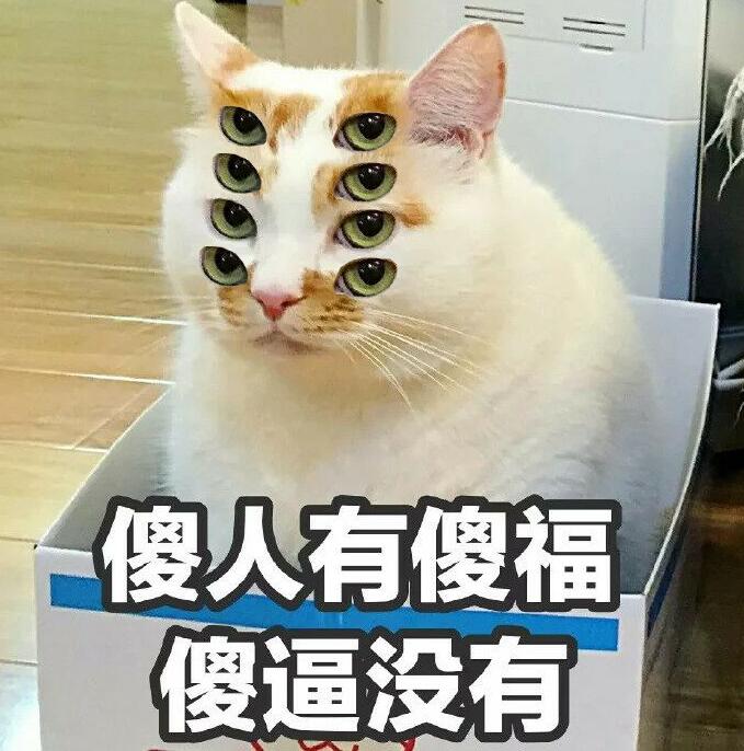 傻人有傻福，傻逼没有。