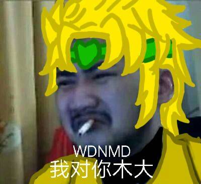 WDNMD我对你木大