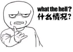 什么情况？（what the hell）