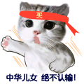 中华儿女绝不认输
