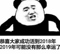 恭喜大家成功活到2018年，2019年可能没有那么幸运了