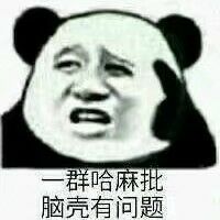 群哈麻批脑壳有问题