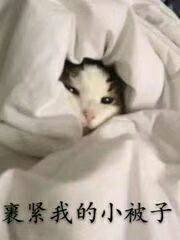 裹紧我的小被子
