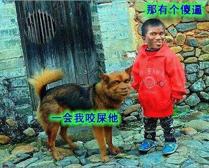 那有个傻逼，一会咬屎他