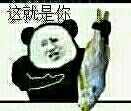 这就是你