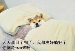 天天说日了狗了，我都洗好躺好了你倒是TMD来啊