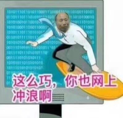 这么巧，你也网上冲浪啊