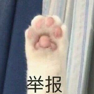 举报