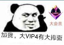 加我，大VIP4有大排面（大会员）