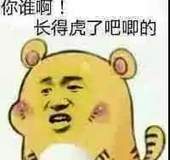 你谁啊，长得虎了吧唧的