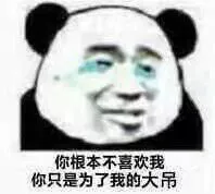 你根本不喜欢我，你只是为了我的大吊