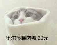 奥尔良喵肉卷20元