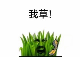 我草！