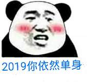 2019你依然单身