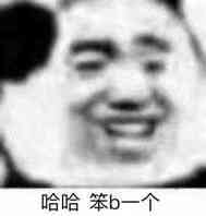 哈哈笨b一个