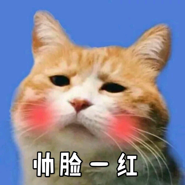 萌萌哒猫星人表情包