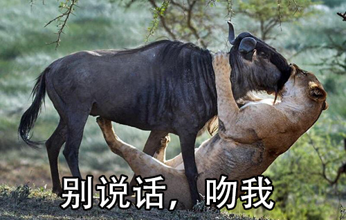 看到一张图，没忍住就做成了表情包给你们玩