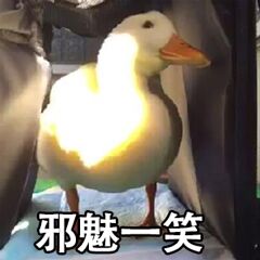 邪魅一笑