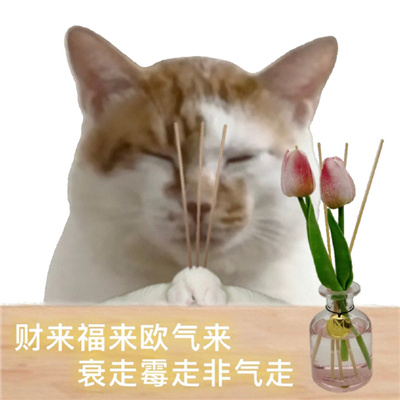 发财又暴富的表情最新 急需一些泼天的富贵